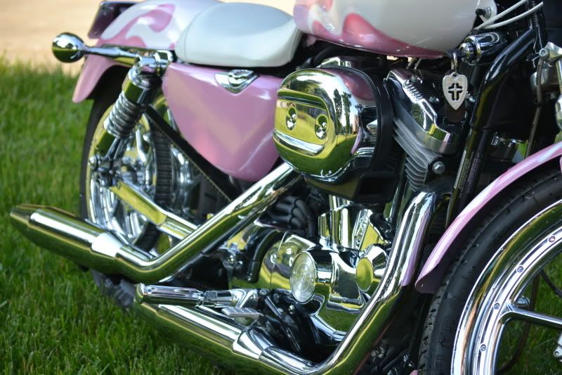 pink sportster